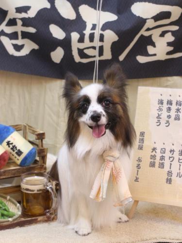 20240630マリーちゃん